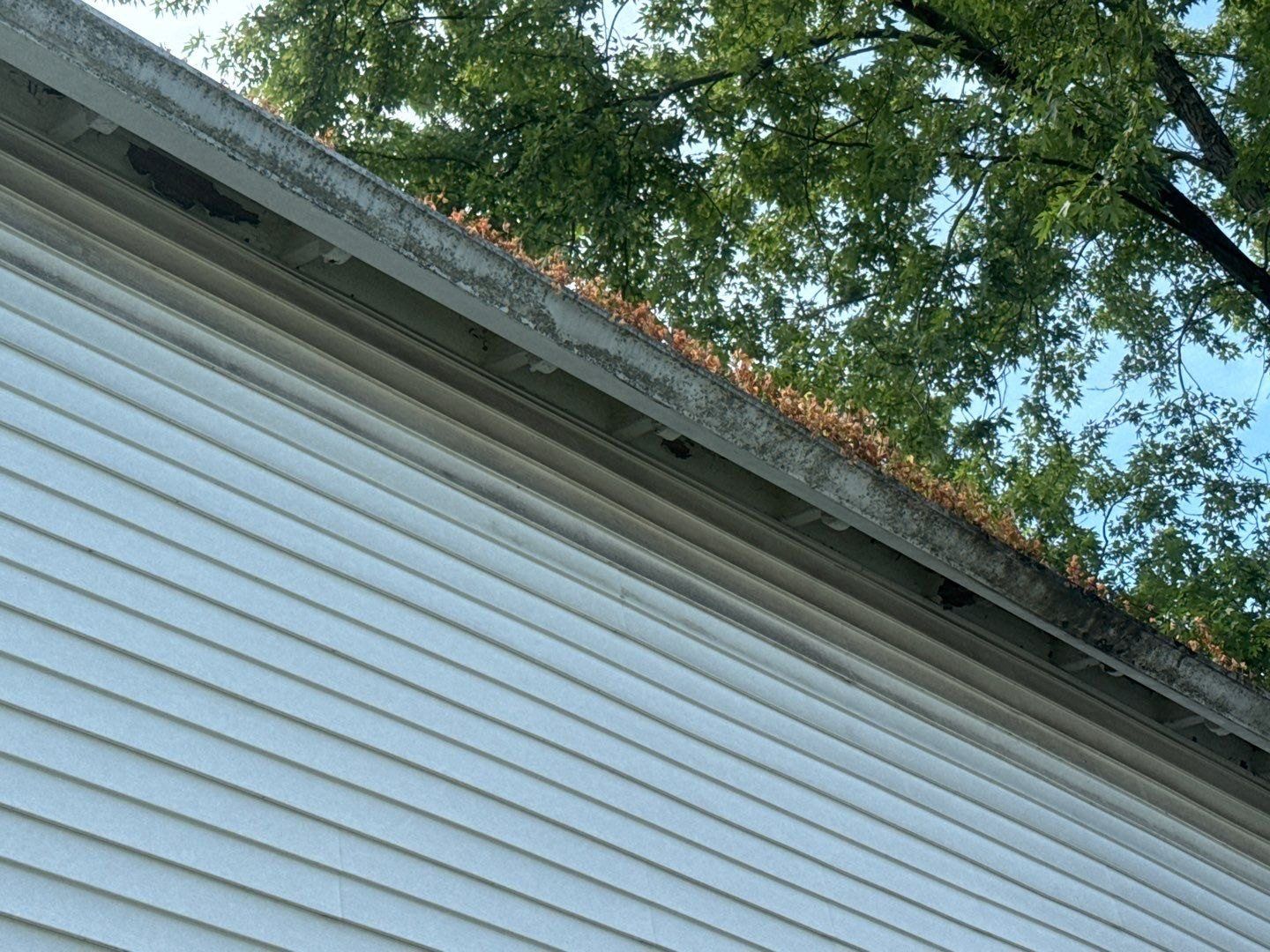 Gutter line on an Anderson home carrying growth along the run before cleaning