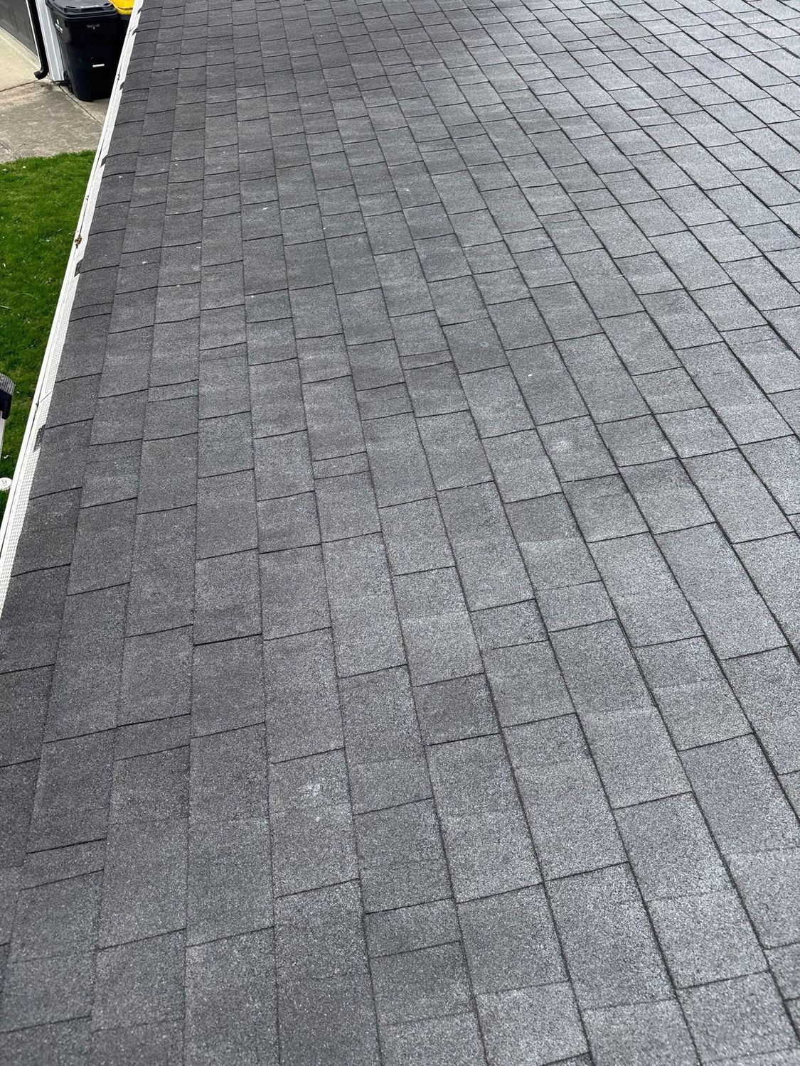 Asphalt shingle roof slope after a soft wash roof cleaning in Anderson