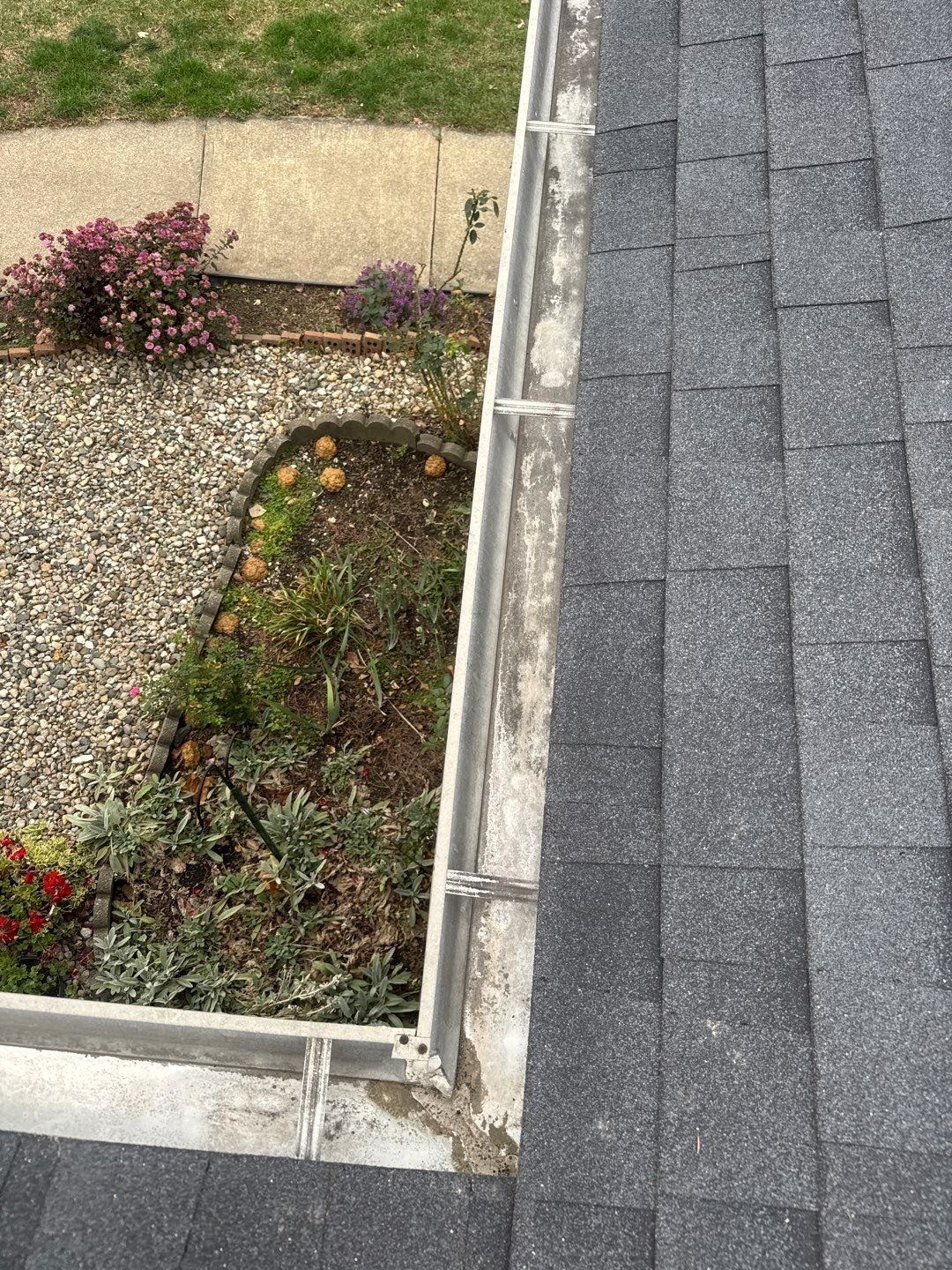 Asphalt shingle roof and gutter line above a planted bed at a Pendleton home