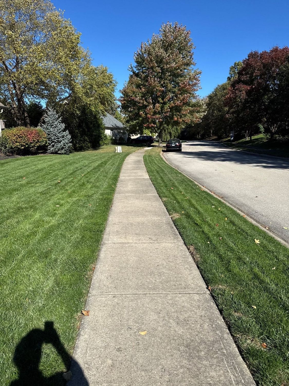 Long cleaned concrete walk running to the street at a Carmel home