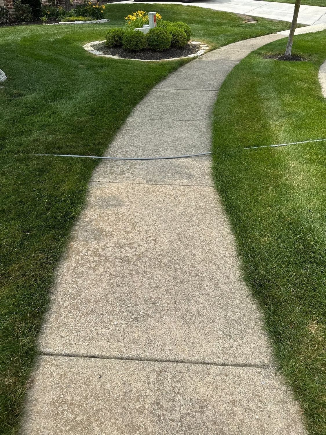 Curved concrete walkway through a Fishers lawn after cleaning
